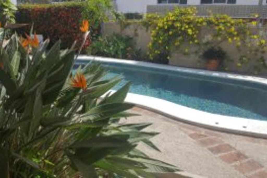 Apartmento Con Alberca A 50 Mt Del Mar La Licha มาซาตลัน ภายนอก รูปภาพ